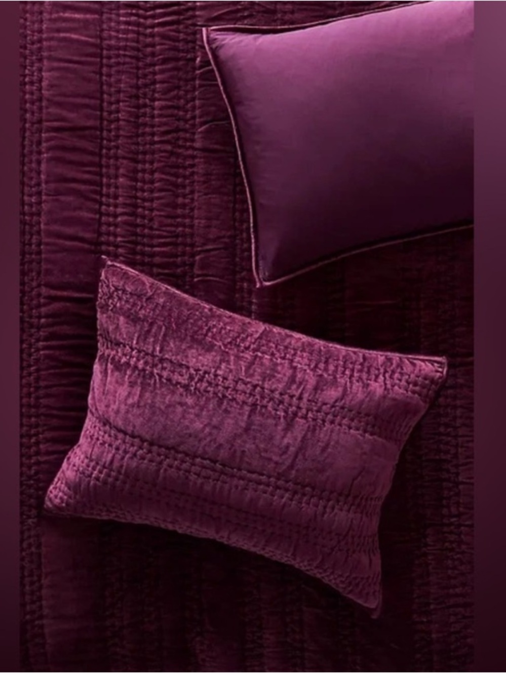 Anthropologie Lustered Velvet Alastair Shams in Burgundy -set of 2